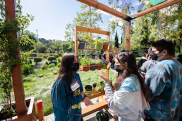 Students exploring the Skirball gardens