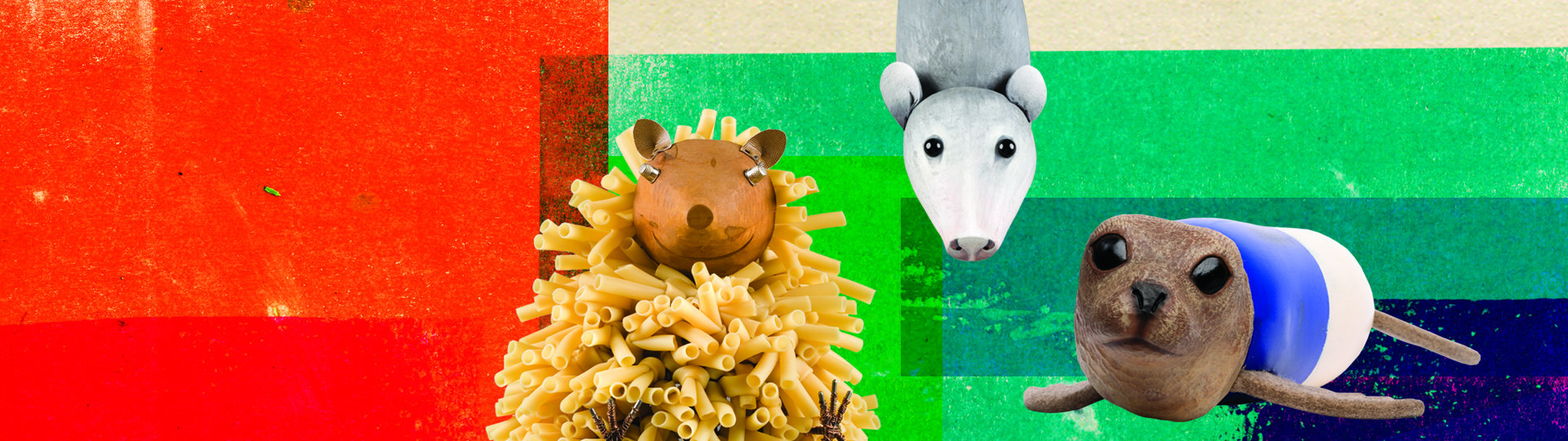 Noah's ark animals on colorful background, hedgehog, opossum, and seal