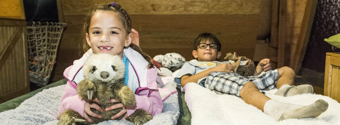 sleepover noah's ark