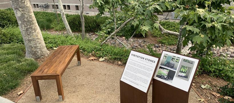 wooden bench beneath a tree with installation information displays next to it