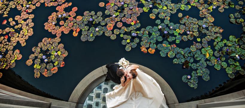 Wedding couple image by lily pond in Taper courtyard from overhead