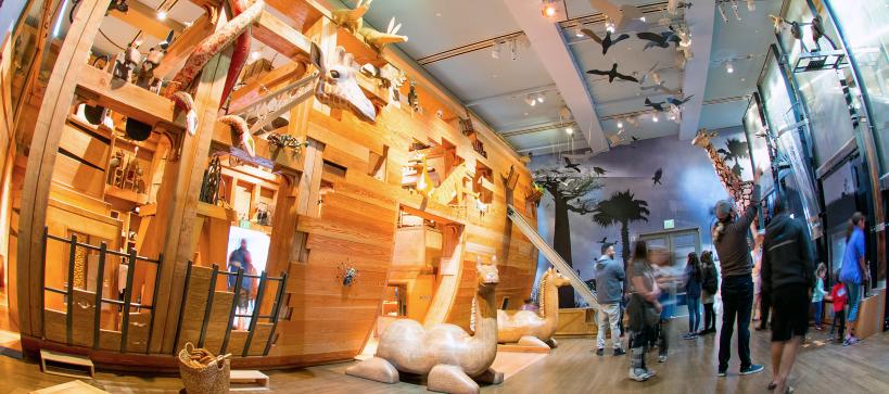 Visitor in Noah's Ark Gallery. Animal and ark made from wood and found materials. You can see giraffes, camels, snakes and birds.