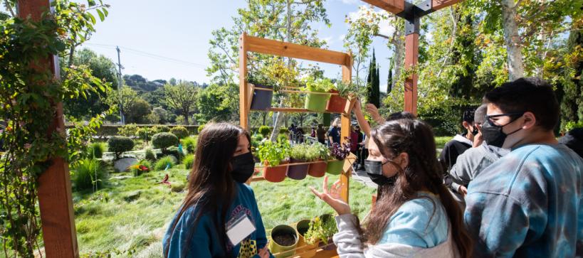 Students gathered around a vertical garden with two students talking and gesturing to the plants.