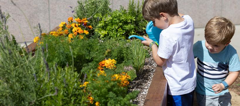 Two kids water a bed of marigolds with a watering can.