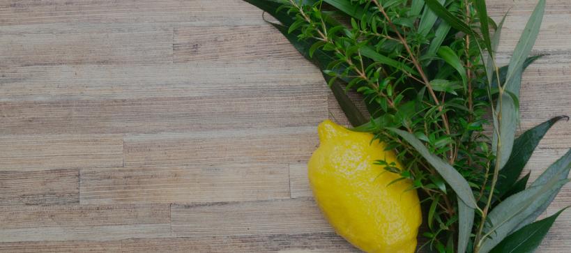 A lemon and some palms laying on a wooden table
