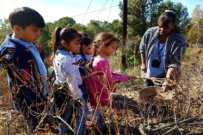 Students collecting seeds