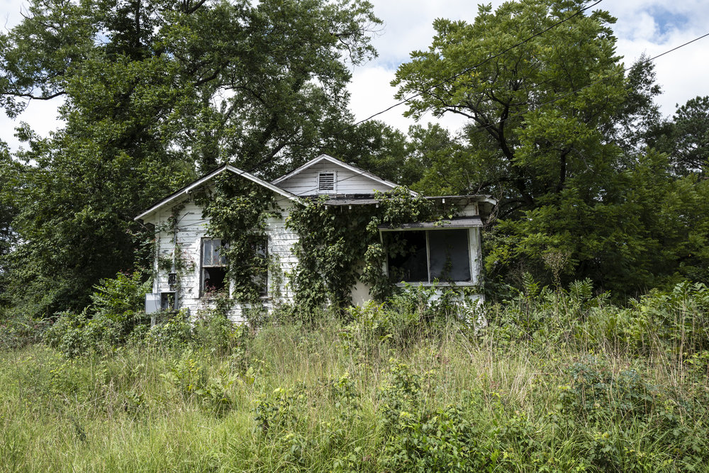 A white house covered in vines surrounded by tall overgrown grass.