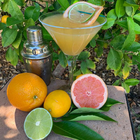 Four Citrus Daquiri