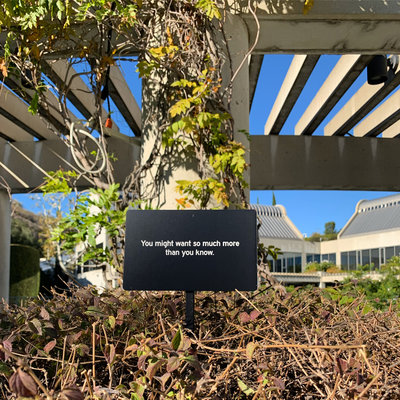 A small black garden sign in a planter that reads, &quot;You might want so much more than you know.&quot;