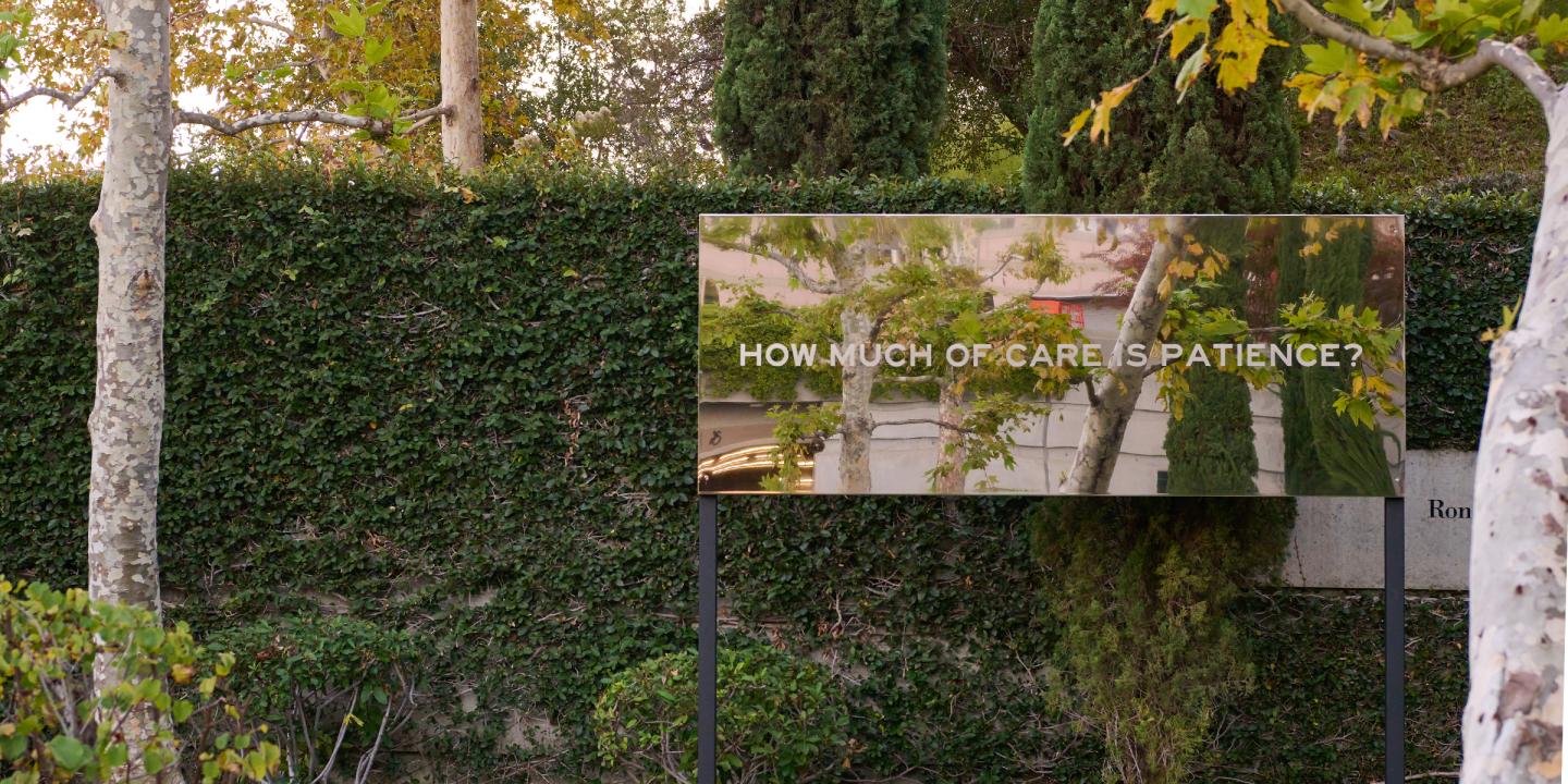Reflective sign with the words How Much of Care is Patience stamped on it. Around the sign are many different green plants and trees.