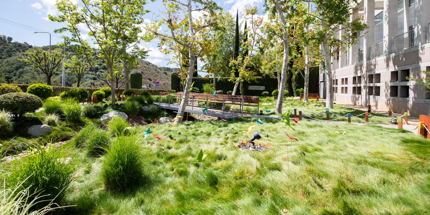 A blue sky overlooks lush greenery along an arroyo's path. Standing in the long, green grass are colorful, fabric birds.