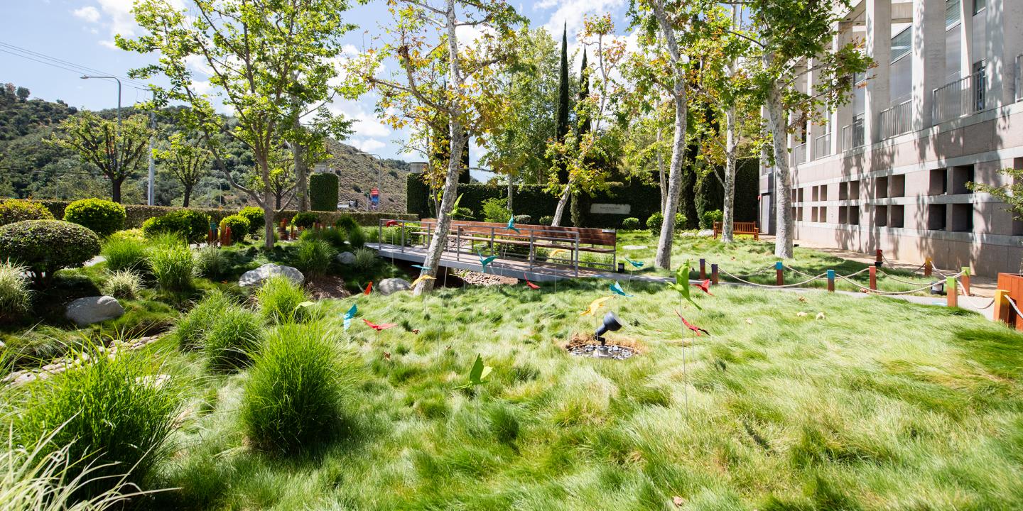 A  blue sky overlooks lush greenery along an arroyo's path. Standing in the long, green grass are colorful, fabric birds.