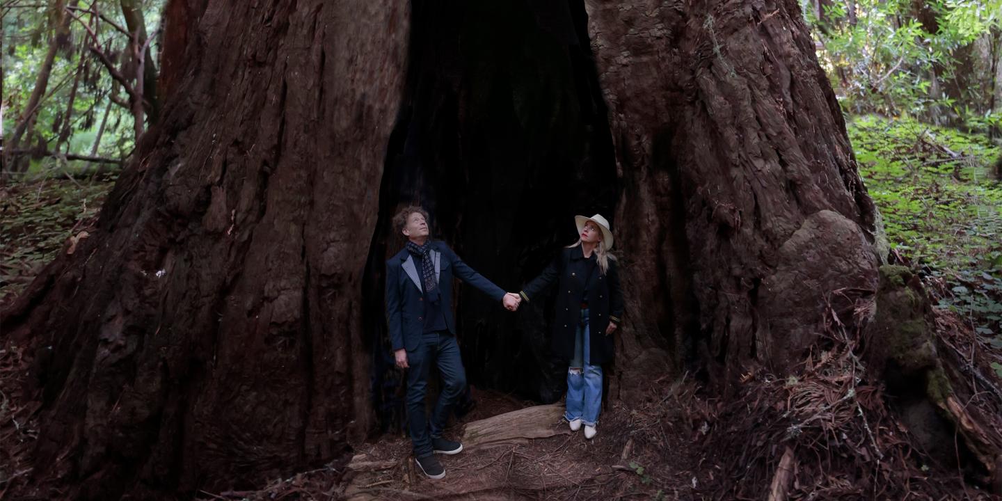 Ken and Tiffany stand holding hands and looking up at a larger-than-life tree behind them.