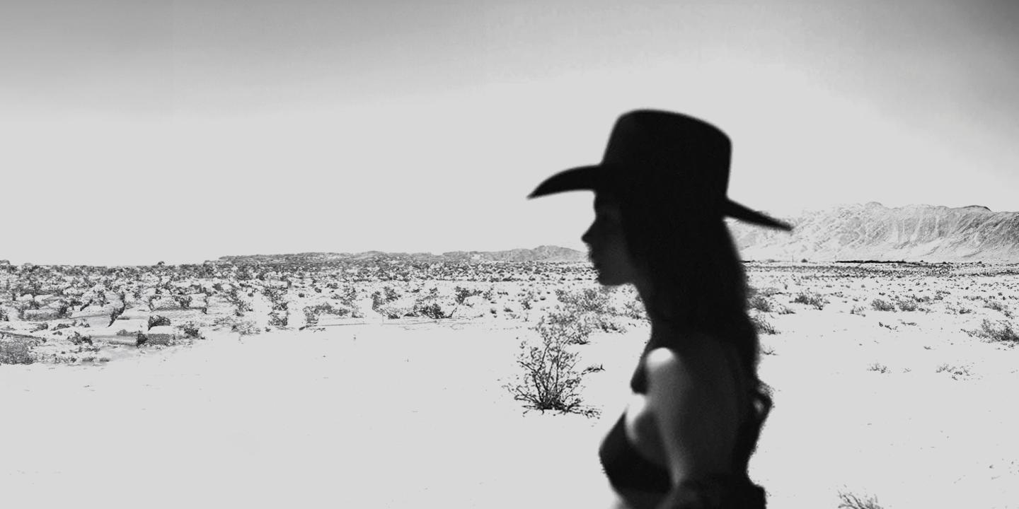 A woman silhouette with a dessert background