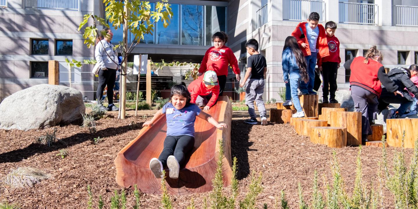 Children play in the Bloom Garden going down a slide and climbing on tree stumps.