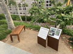 wooden bench beneath a tree with installation information displays next to it