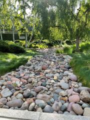 dry creek full of rounded stones and pebbles