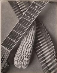 close-upf photo of guitar neck, ear of corn, and bullets