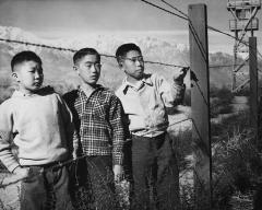 3 boys standing next to barbed wire fence