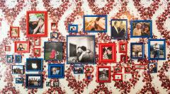 framed photographs arranged on a wall covered with pomegranate image wallpaper