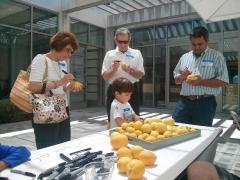 3 adults and a child drawing on lemons with a tray of lemons on a table in front of them