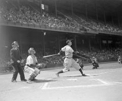 Baseball umpire, catcher and batter looking up and into distance; the batter has just swung the bat