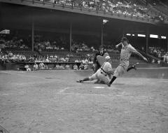 Baseball umpire, catcher and runner just as runner is touching home plate