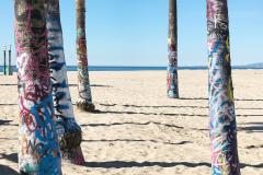 photo of palm trees trunks covered in graffiti at the beach 