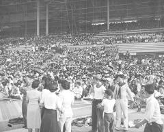 a crowd of people in grandstand and on ground below it