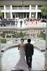 A bride and groom walk down to a waiting ceremony separated by a small pond. Guests are standing out of focus