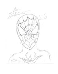Spiderman sketch