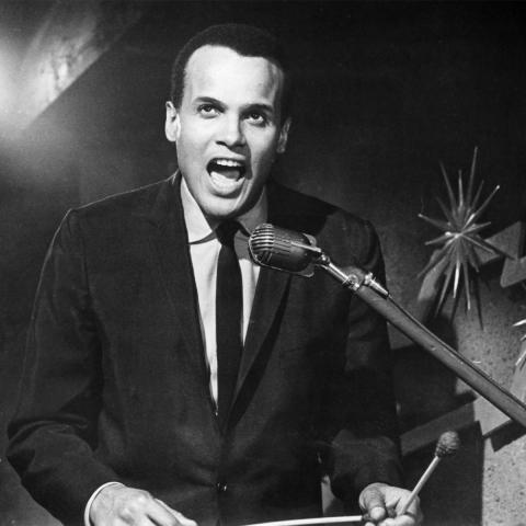 Stills from the films featured. On the left is Harry Belafonte standing in front of a microphone speaking emphatically. On the right is Jon Garfield shown holding a phone and staring into space with a serious expression.