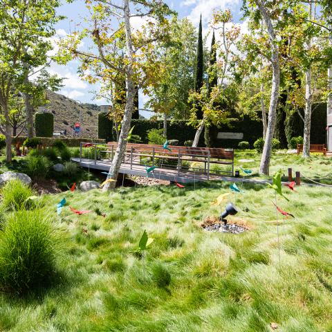 A  blue sky overlooks lush greenery along an arroyo's path. Standing in the long, green grass are colorful, fabric birds.