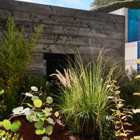 A sukkah made from wood stands among various plants in a courtyard at the Skirball.
