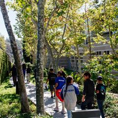 School children walking on a path shaded by trees