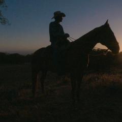 Still from the film showing a man sitting on a horse in front of a setting sun.