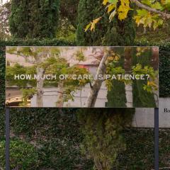 Reflective sign with the words How Much of Care is Patience stamped on it. Around the sign are many different green plants and trees.