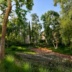 grass-filled arroyo