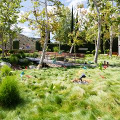 A  blue sky overlooks lush greenery along an arroyo's path. Standing in the long, green grass are colorful, fabric birds.