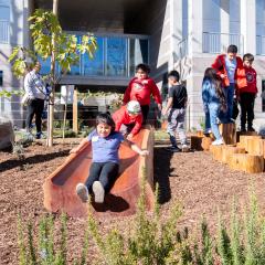 Children play in the Bloom Garden going down a slide and climbing on tree stumps.