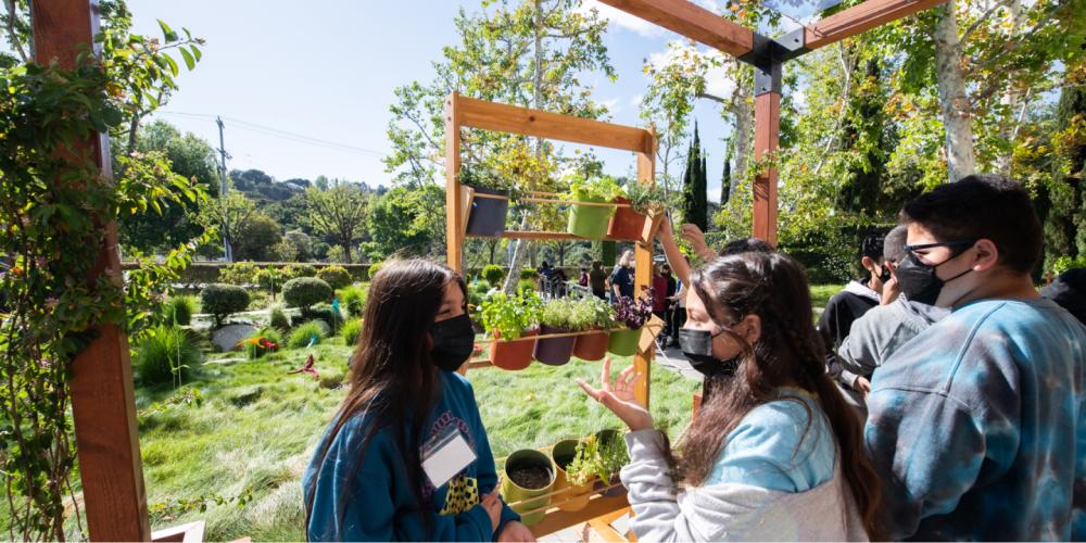Students gathered around a vertical garden with two students talking and gesturing to the plants.