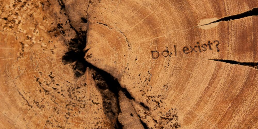 Detail of a cross section of a tree with the words, Do I exist? burned into the wood.