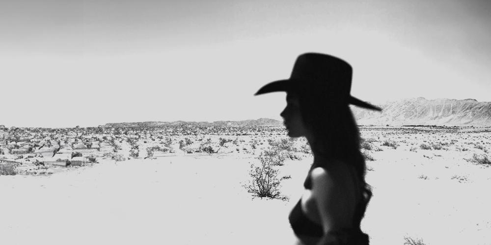 A woman silhouette with a dessert background